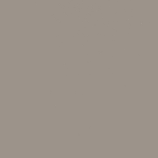 J0748 Beige Arizona